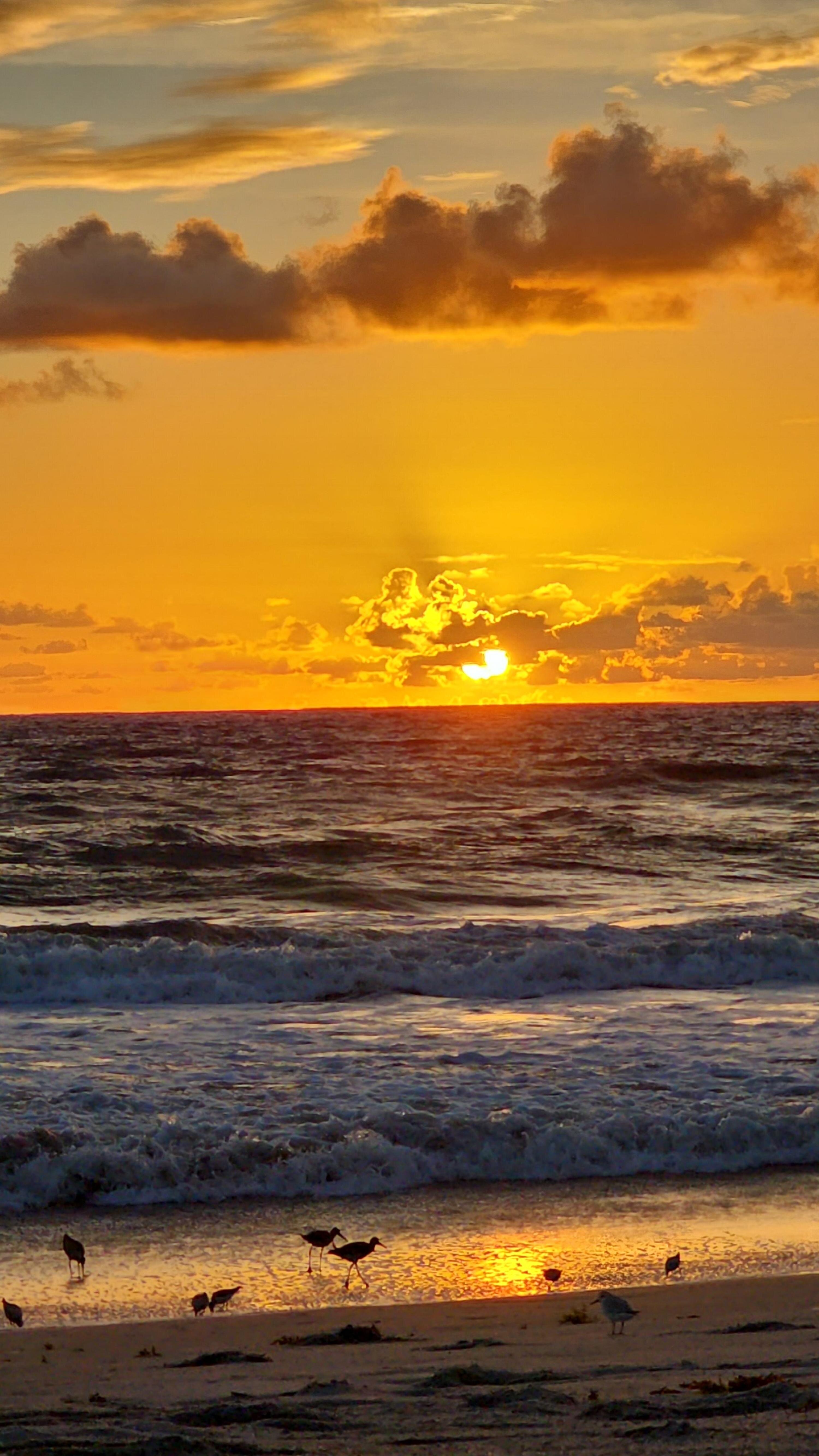 DaddysGlRL cover photo